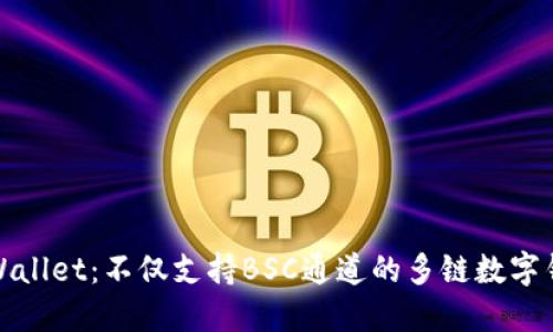 TPWallet：不仅支持BSC通道的多链数字钱包