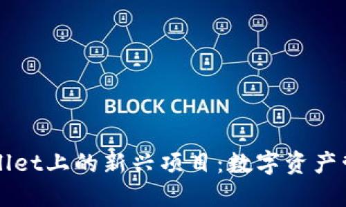 探索TPWallet上的新兴项目：数字资产管理的未来