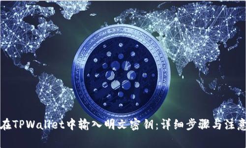 如何在TPWallet中输入明文密钥：详细步骤与注意事项