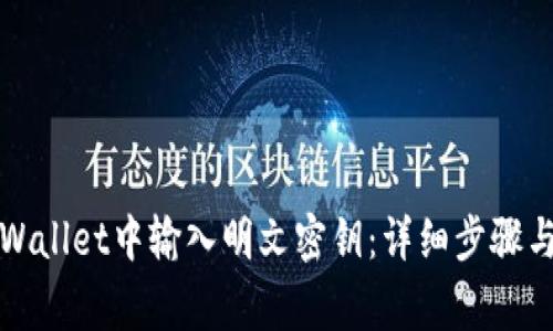 如何在TPWallet中输入明文密钥：详细步骤与注意事项