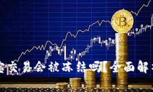 虚拟币支付宝交易会被冻结吗？全面解析与应对策略