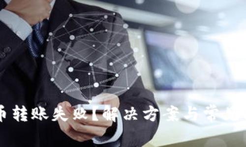 中本聪币转账失败？解决方案与常见问题解析