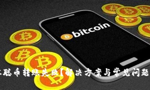 中本聪币转账失败？解决方案与常见问题解析