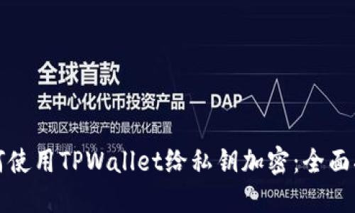 如何使用TPWallet给私钥加密：全面指南
