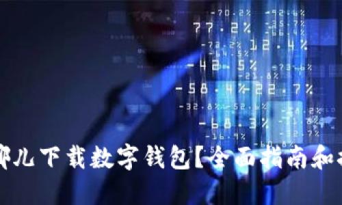 从哪儿下载数字钱包？全面指南和推荐