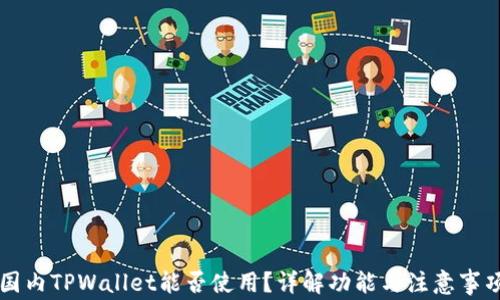 
国内TPWallet能否使用？详解功能与注意事项
