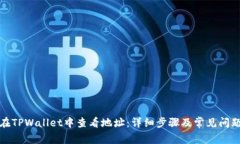 如何在TPWallet中查看地址：详细步骤及常见问题解