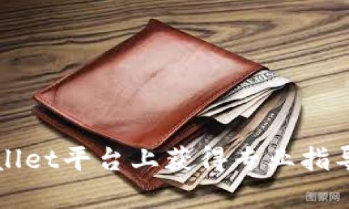 如何在TPWallet平台上获得专业指导与学习资源