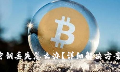TP Wallet密钥丢失怎么办？详细解决方案和预防措施