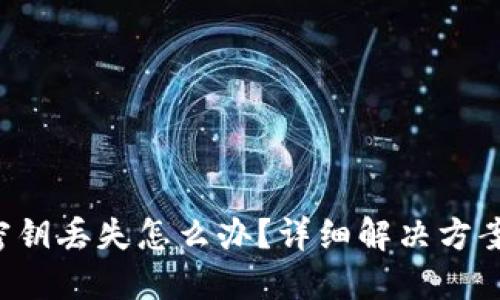 TP Wallet密钥丢失怎么办？详细解决方案和预防措施
