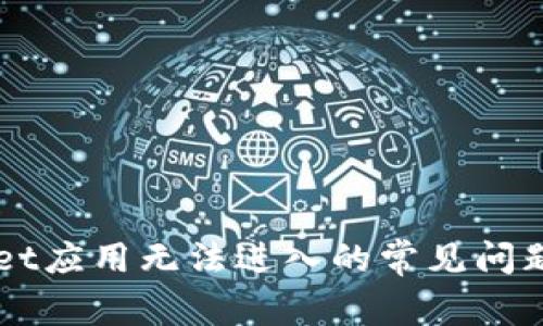 解决TPWallet应用无法进入的常见问题与解决方案