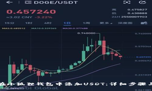 如何在小狐狸钱包中添加USDT：详细步骤与技巧