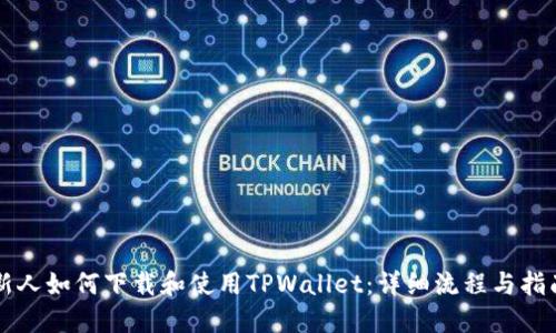 新人如何下载和使用TPWallet：详细流程与指南