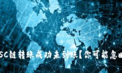 tpwallet BSC链转账成功未到账？你可能忽略了这些