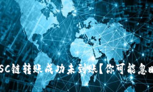tpwallet BSC链转账成功未到账？你可能忽略了这些细节