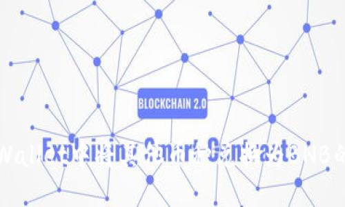 如何在TPWallet中将其他币种兑换为BNB的详细指南