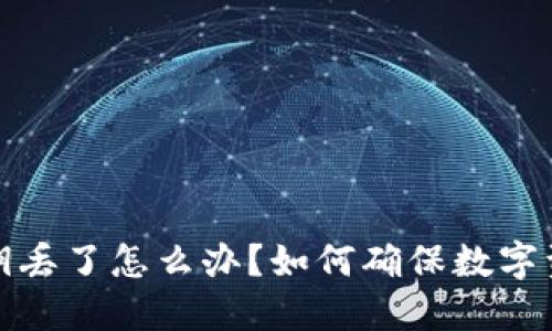 钱包私钥丢了怎么办？如何确保数字资产安全