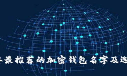 2023年最推荐的加密钱包名字及选择指南