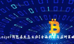 Ledger钱包丢失怎么办？全面指南与应对策略