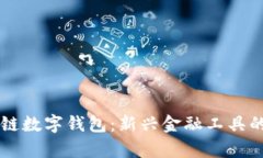 美国区块链数字钱包：新兴金融工具的全景解析