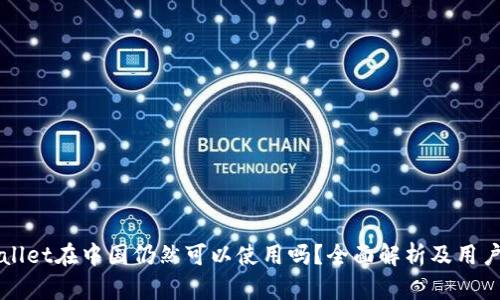 TPWallet在中国仍然可以使用吗？全面解析及用户指南