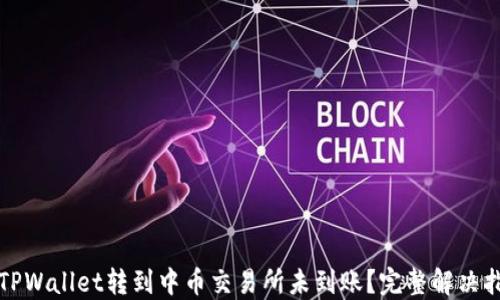 
从TPWallet转到中币交易所未到账？完整解决指南