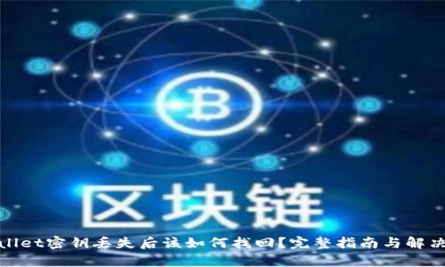 tpwallet密钥丢失后该如何找回？完整指南与解决方案
