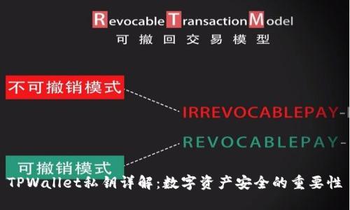 TPWallet私钥详解：数字资产安全的重要性