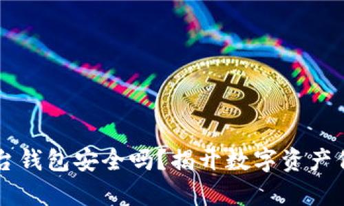 区块链平台钱包安全吗？揭开数字资产保管的真相