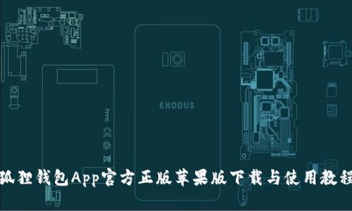 狐狸钱包App官方正版苹果版下载与使用教程