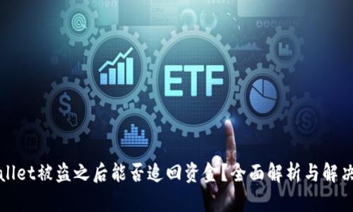TPWallet被盗之后能否追回资金？全面解析与解决方案