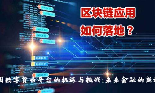 中国数字货币平台的机遇与挑战：未来金融的新动力