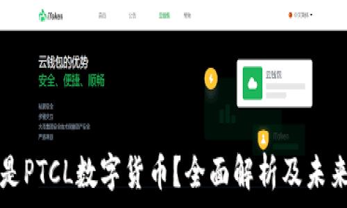   
什么是PTCL数字货币？全面解析及未来展望