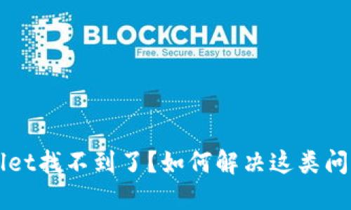提币到TPWallet找不到了？如何解决这类问题的全面指南
