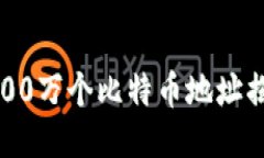 中本聪的100万个比特币地址揭示了什么？