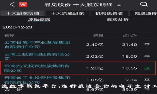 主流数字钱包平台：选择最适合你的电子支付工具