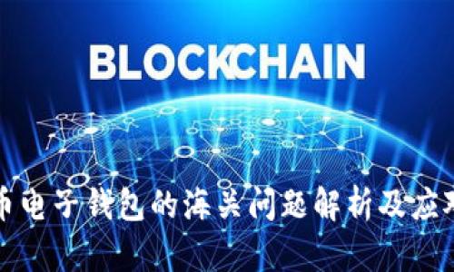 虚拟币电子钱包的海关问题解析及应对策略
