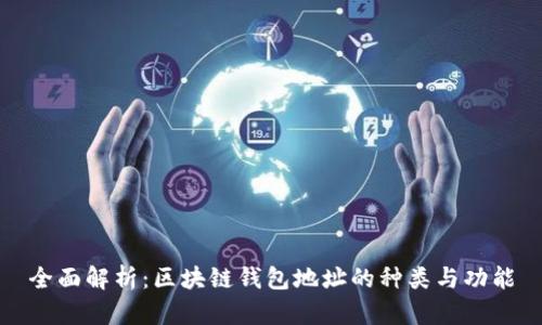 全面解析：区块链钱包地址的种类与功能