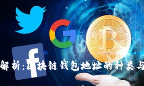 全面解析：区块链钱包地址的种类与功能