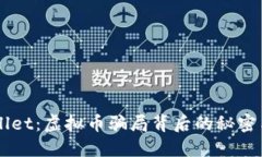 解密TPWallet：虚拟币骗局背后的秘密与防范指南