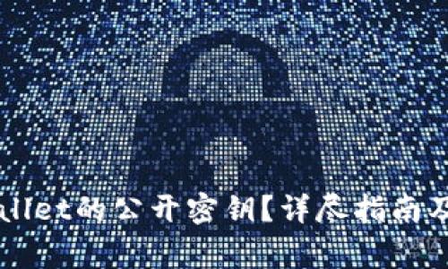 如何查看TPWallet的公开密钥？详尽指南及常见问题解析