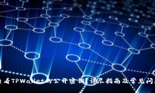 如何查看TPWallet的公开密钥？详尽指南及常见问题解析