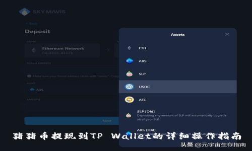 猪猪币提现到TP Wallet的详细操作指南