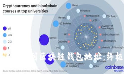 如何快速找到区块链钱包地址：终极指南