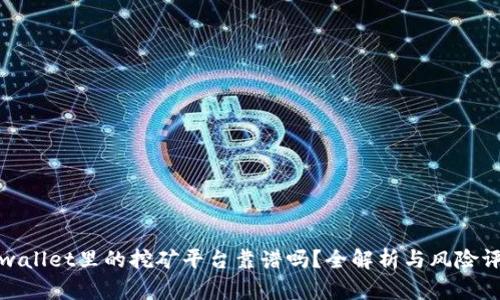 tpwallet里的挖矿平台靠谱吗？全解析与风险评估
