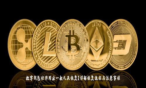 数字钱包被停用后一般几天恢复？详解恢复流程与注意事项