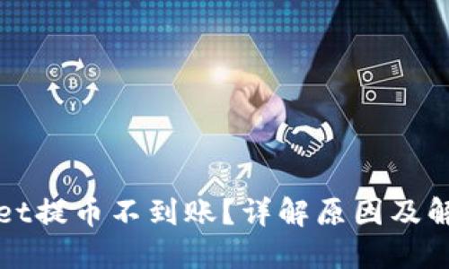 TPWallet提币不到账？详解原因及解决方案