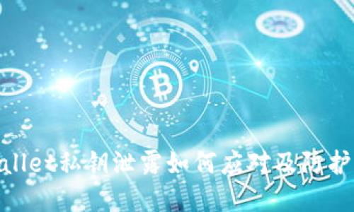 tpwallet私钥泄露如何应对及防护措施