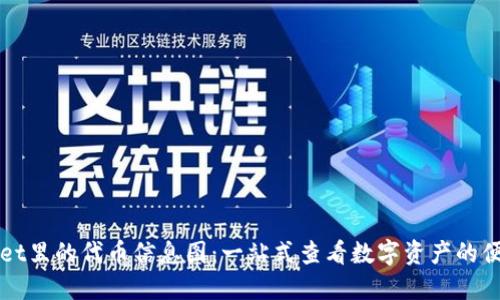 TPWallet里的代币信息图：一站式查看数字资产的便捷工具