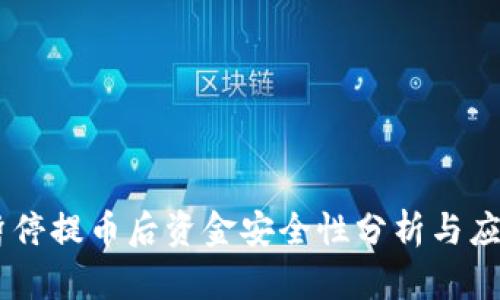 OKEx暂停提币后资金安全性分析与应对策略